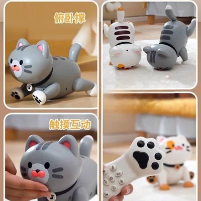 خرید گربه کنترلی Lenengtoys از فروشگاه اسباب بازی فسقلی